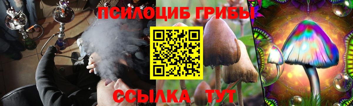 Галлюциногенные грибы прущие грибы Казань