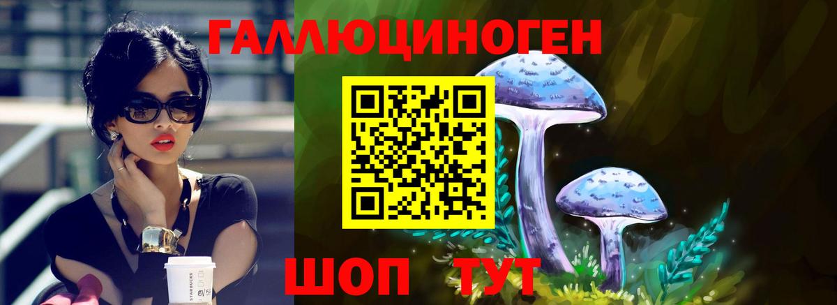 Псилоцибиновые грибы Magic Shrooms  Вход с VPN  Казань  где найти   Псилоцибиновые грибы прущие грибы 